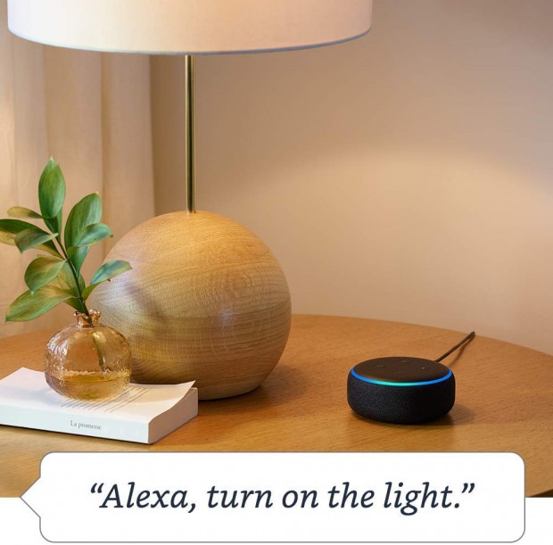 Amazon Echo dot, one of Amazon's leading smart speakers