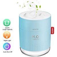 Portable Mini Humidifier 500mL