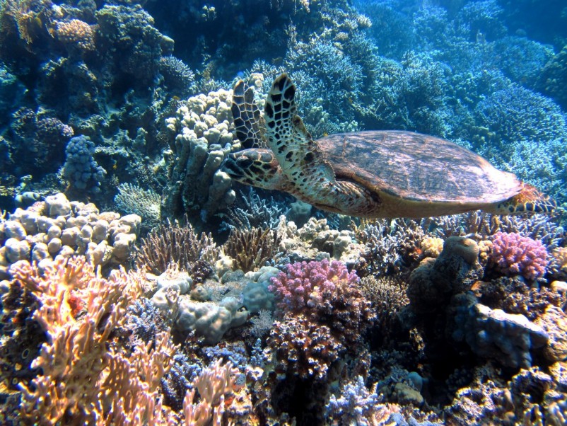 Cairns: the perfect family holiday for different age groups