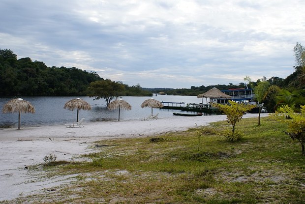 Manaus Rainforest