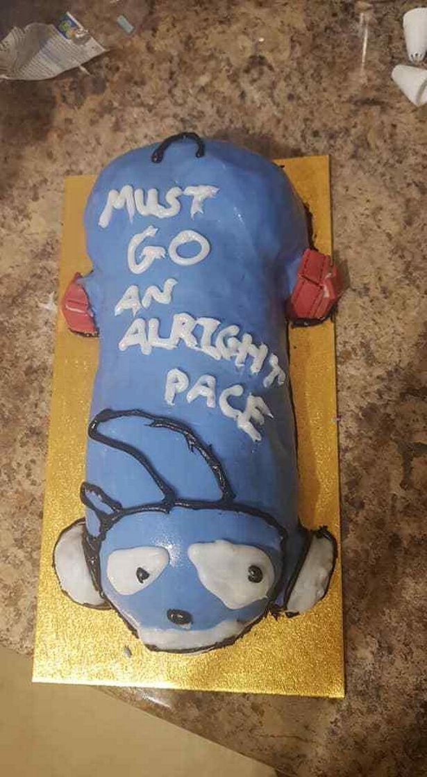 Sonic Hedgehog Failed Cake