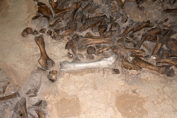 Mammoth Findings In Kostenki
