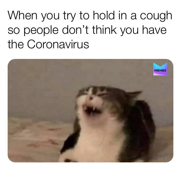 Funniest Coronavirus Memes All Over Social Media : Funny : BOOMSbeat