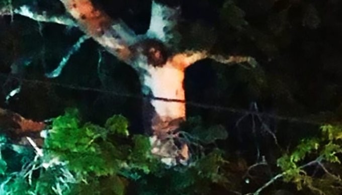 Jesus Figure in Colombia