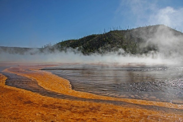 Yellowstone Region