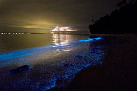 Glowing Beach