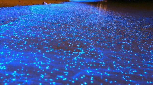 Glowing Beach