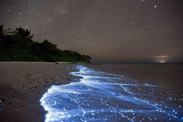 Glowing Beach