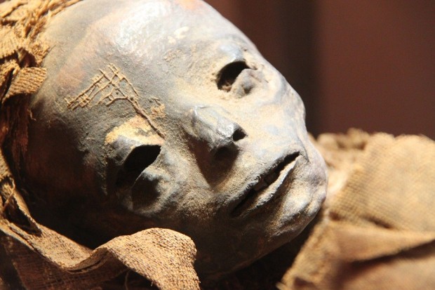 Mummy Egyptian