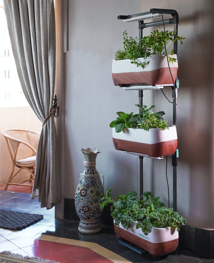 A Brief Guide to Building Vertical Gardens  