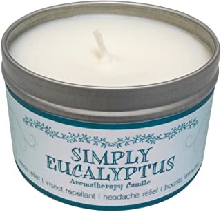 Our Own Candle Company Soy Wax Simply Eucalyptus