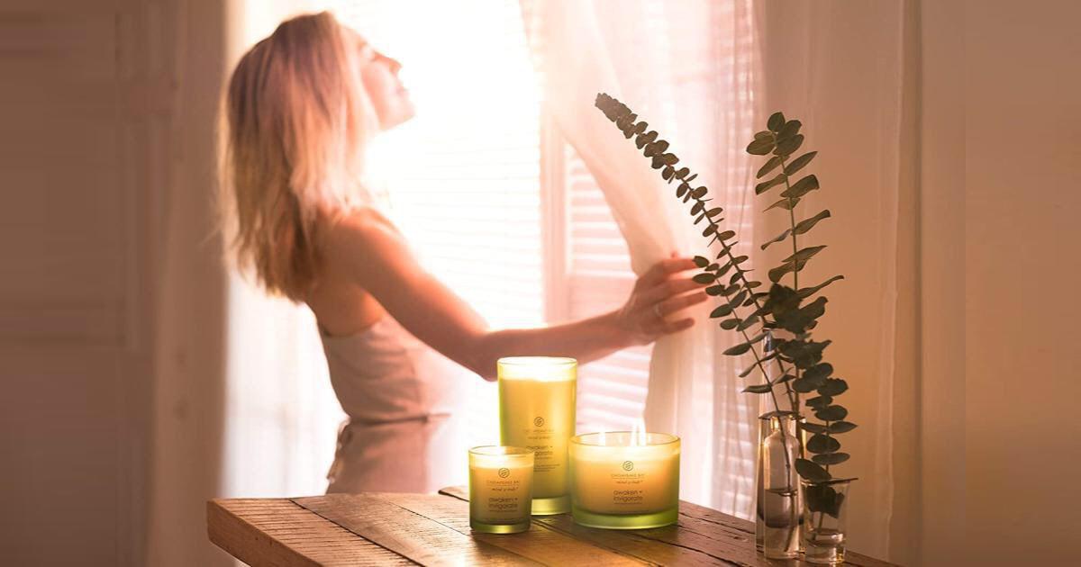 Best Eucalyptus Candles of 2020 BOOMSbeat