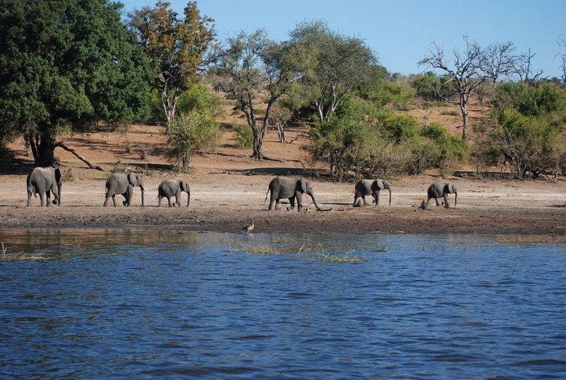 From Game Drives To Mountain Climbing, These Are The 5 Most Adventurous Things To See and Do In Kenya