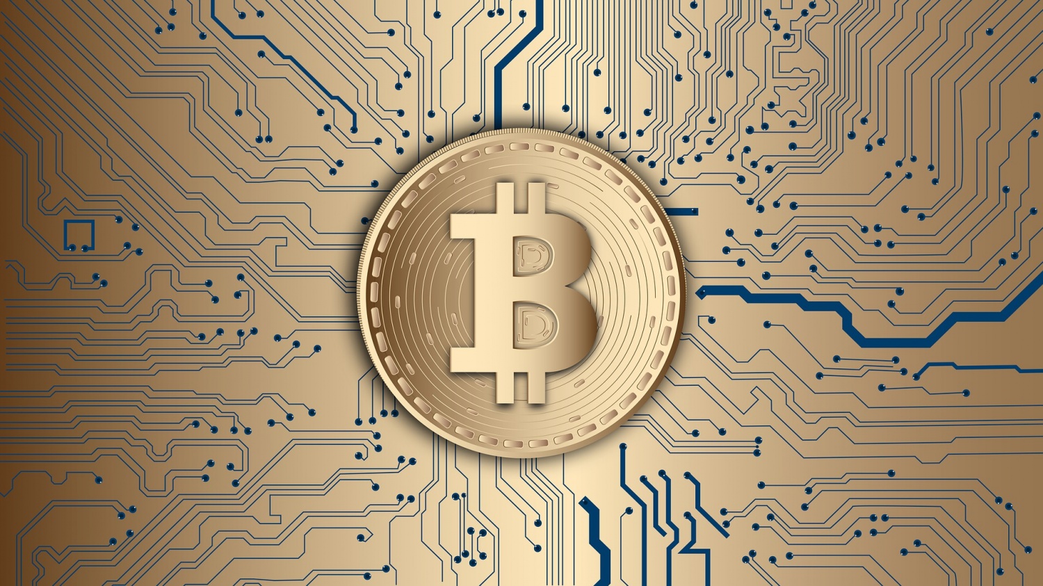 Miota and Bitcoin: What's the Difference?