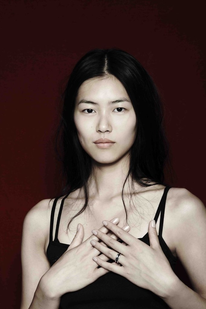 Liu Wen