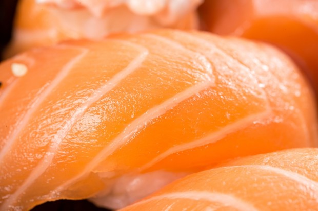 salmon niguiri