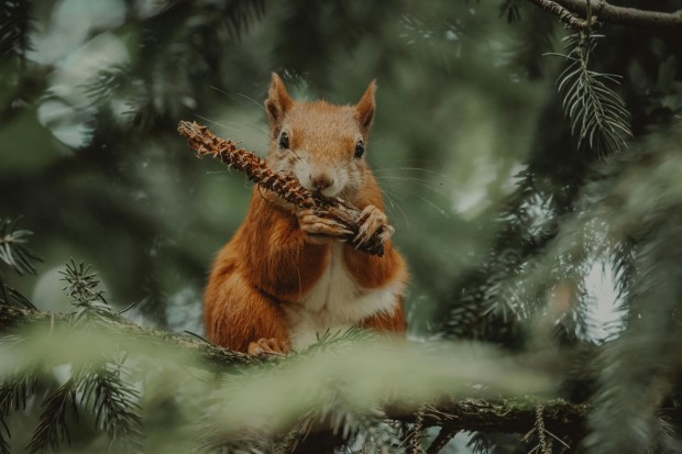 by David Selbert on Pexels