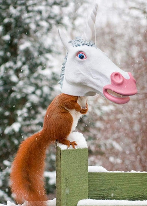 Squirrel Feeder Unicorn Head