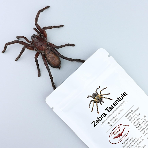 Newport Jerky Company Edible Insects 