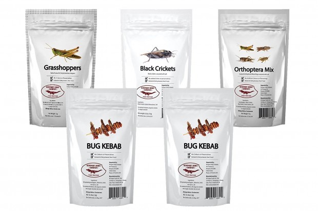 Newport Jerky Company Edible Insects 