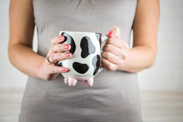 Boston Warehouse Udderly Cow Mug with Non-Skid Silicone Feet