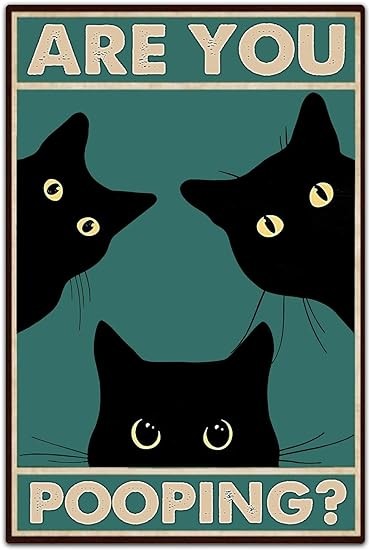 Black Cat Are You Pooping Funny Tin Signs Bathroom Wall Decor