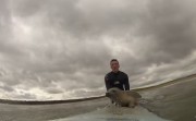 surfing with a seal