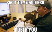 SAY IT TO MY FACE BRO I DEER YOU